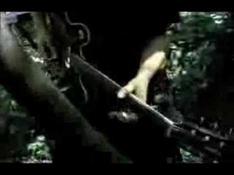 Quimby - Hoppá