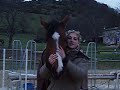 orfee et moi orfee et moi