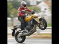 HORNET NO GRAU