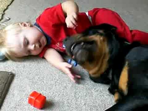 ROTWEILLER