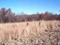 videos de 110207 012.mov