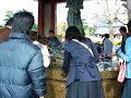 Meiji-Jingu temple in Asukasa, Tokyo