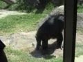 Sex-Education-Zoo-St