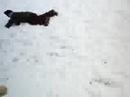 Nevando em Long Island