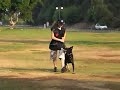 tai chi obidience training