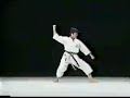 Jion - WKF Shitei Shoto Kan Jion - WKF Shitei Shoto Kan