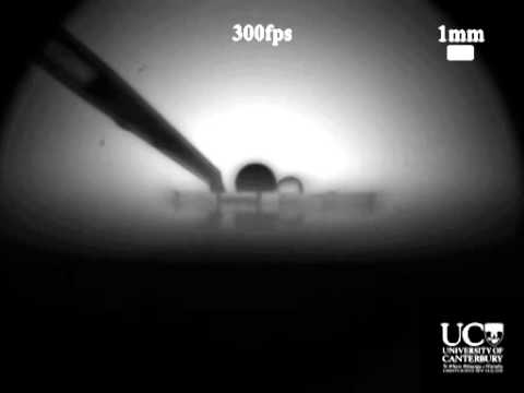 how to dissolve pdms