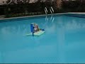 rc-black-pearl-pirate-ship.html