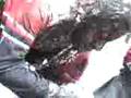 videos de la bañada de bri jajaja 