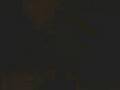 videos de pagano (2).mp4