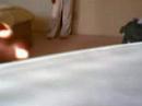deondre puppet deondre puppet
