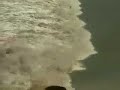 Tsunami Victim