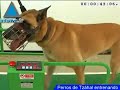 Los minutos de Inflolive