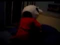 vaca duende vaca duende
