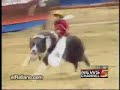 Monkey rider