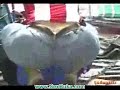 Curvy adult obese phat booty