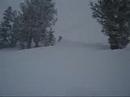 Jackson Hole 2006