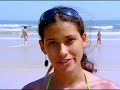 Fant�stico - �guas vivas invadem o litoral brasileiro
