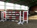 forest (135cm)&jannik jumping 145cm