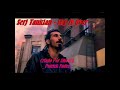 Serj tankian - sky is over (D.P)