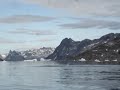 Finnwhales Relaxing in Ammassalik Fjord