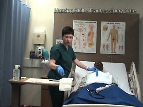 Tracheal Airway Care And Suctioning Skills Nursessity