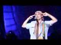 Manu Chao LIVE Vic-Fezensac Mr Bobby