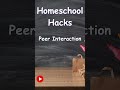 Peer Interaction | How to Homeschool | Homeschool Tips | Homeschool