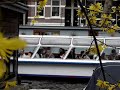 Hotel in Amsterdam - Phildutch Bed and Breakfast