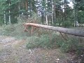 nvt