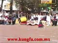 Kung Fu estilo Mono