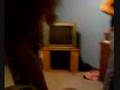 videos de Dance Fest