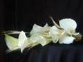 wil flores decorações