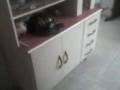 videos de TRIANNA EN SU REFUGIO