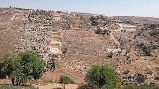 #الخليل مراح البقار