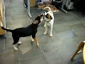 Blacky und Heike