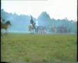 Borodino 1995