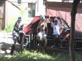 Cei trei cântăreţi Manele-Gratis.net