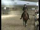 Equitation portugaise par Paulo Galiza Equitation portugaise par Paulo Galiza