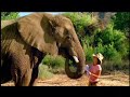 Evan Almighty Theatrical Movie Trailer - Behind The Scenes
