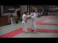 videos de Réflexion sur et autour de Yoko tomoe nage