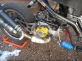 DooD Startup Big Bore 77cc