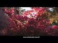 Turismo de Naturaleza / Nature Tourism