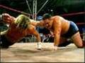 the halk hogen video
