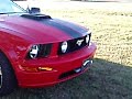 My 2006 GT Mustang with Zex nitrous purge