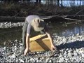 Rigging The Tumpline