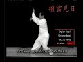 a Liu He Ba Fa Additional Detail from DVD