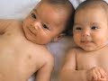 New Twist in Stem Cell Debate