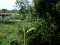 videos de Train from Delhi to New Jalpaiguru
