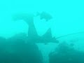 Plong�e sur le site ray point passe de belle mare